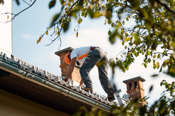 Best Chimney Flashing Repair  in Shil, OH