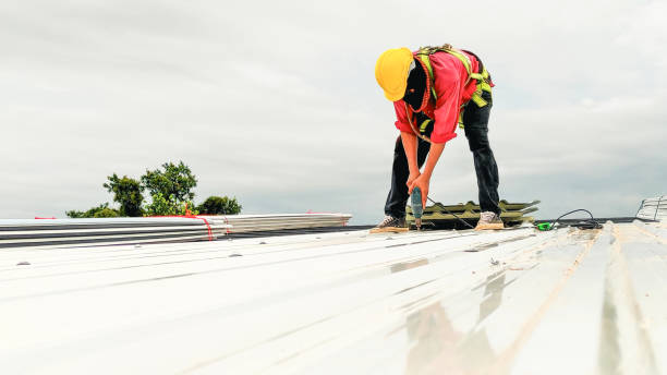 Best Roof Moss and Algae Removal  in Shil, OH